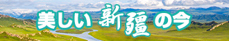 肥婆老B新疆banner-w330n60.jpg